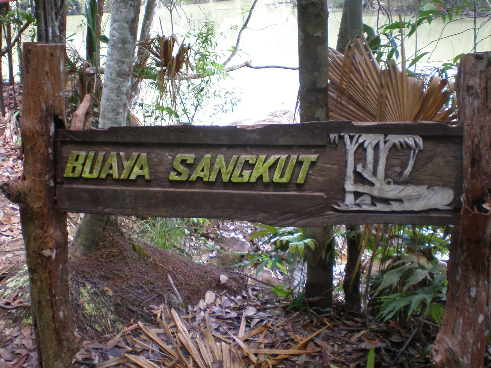Air Terjun Buaya Sangkut — foto sebenar 5