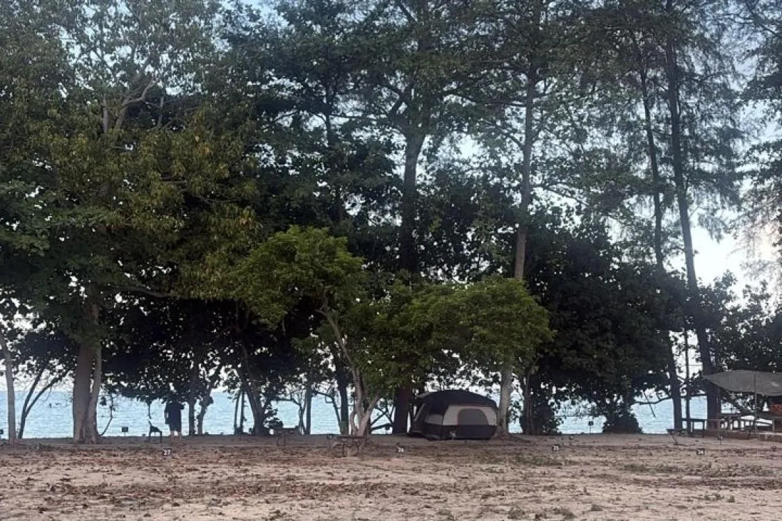 Gambar Ali Camp