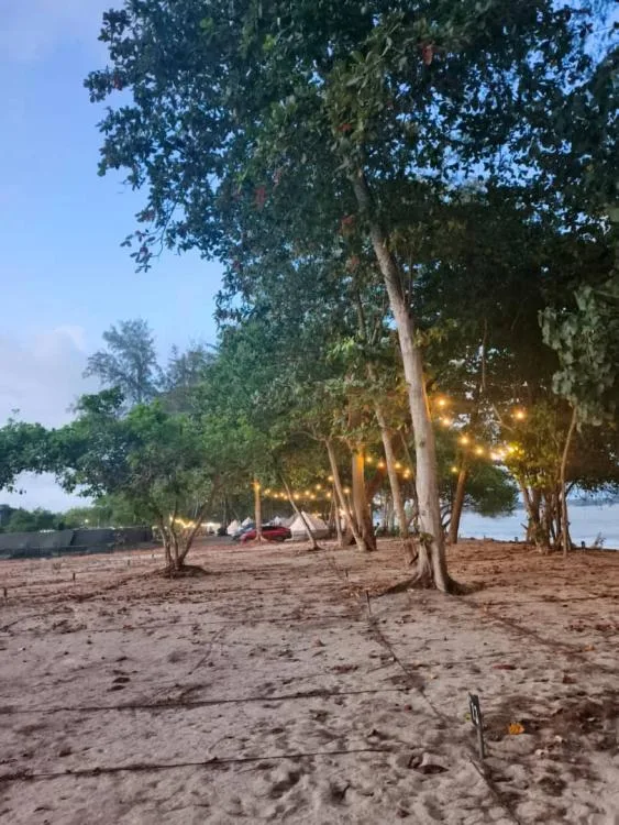 Ali Camp — foto sebenar 2