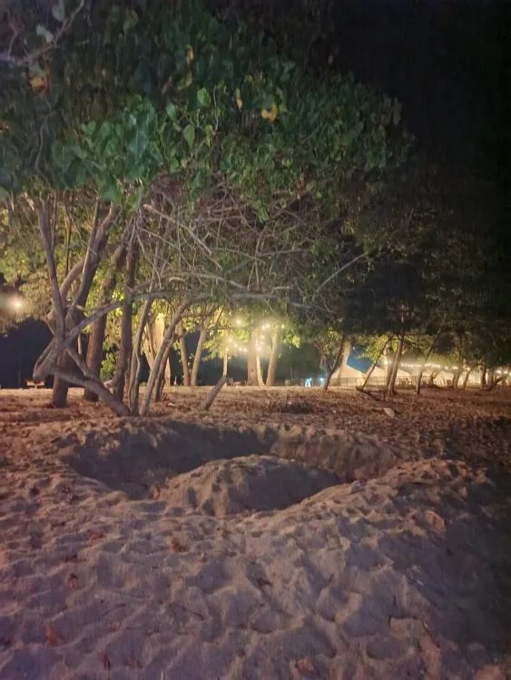 Ali Camp — foto sebenar 6