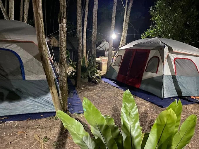 Aminah Rahmat Agro Farm — foto sebenar 2