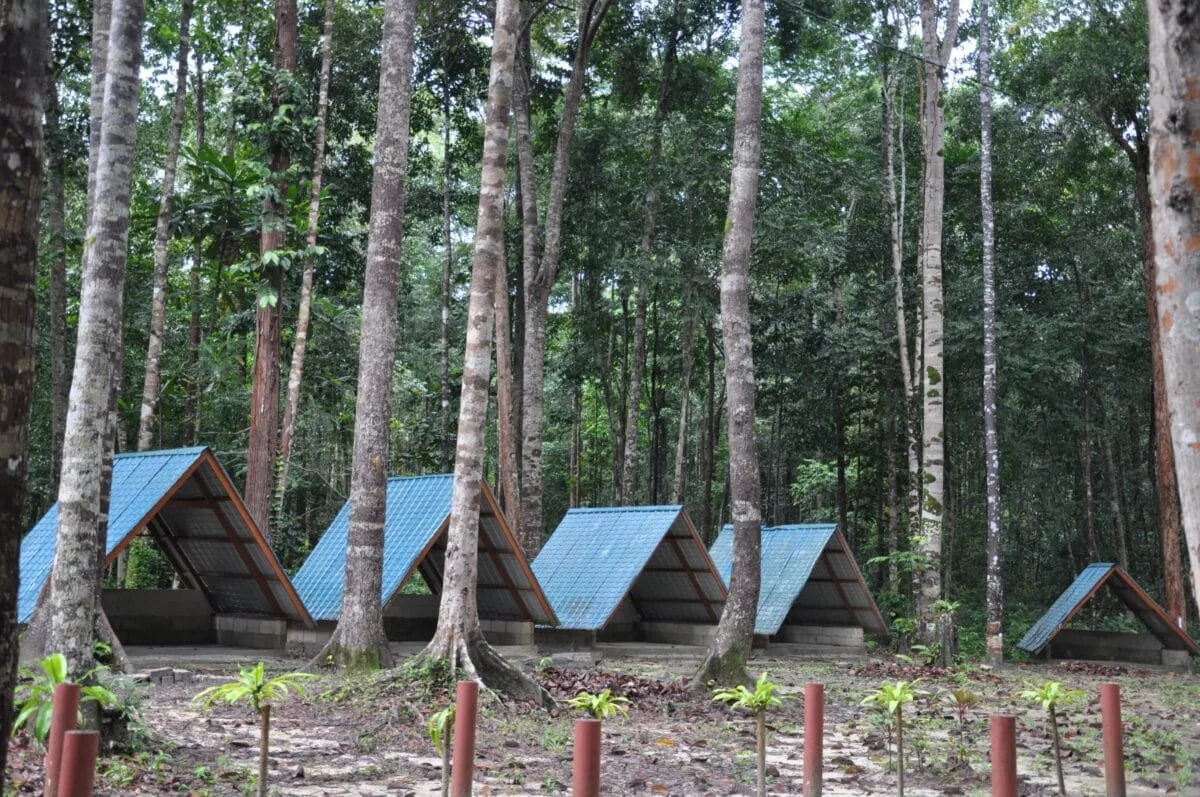 Arong Mountain Forest Eco Park — foto sebenar 4