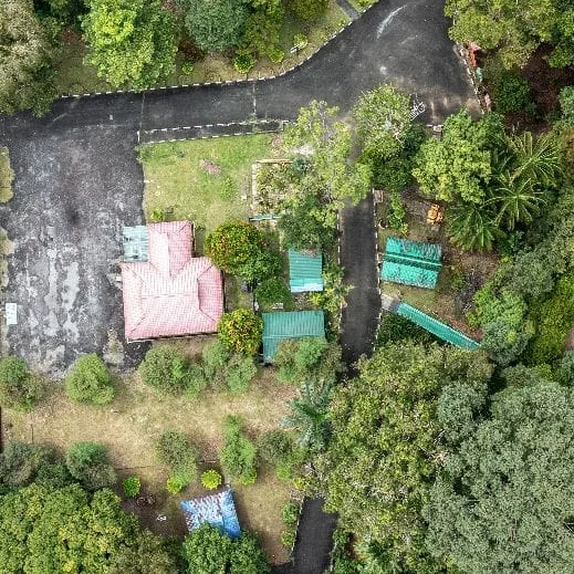 Arong Mountain Forest Eco Park — foto sebenar 5 (crop)