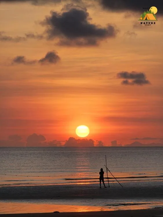 Back To Nature Camp — foto sebenar 4