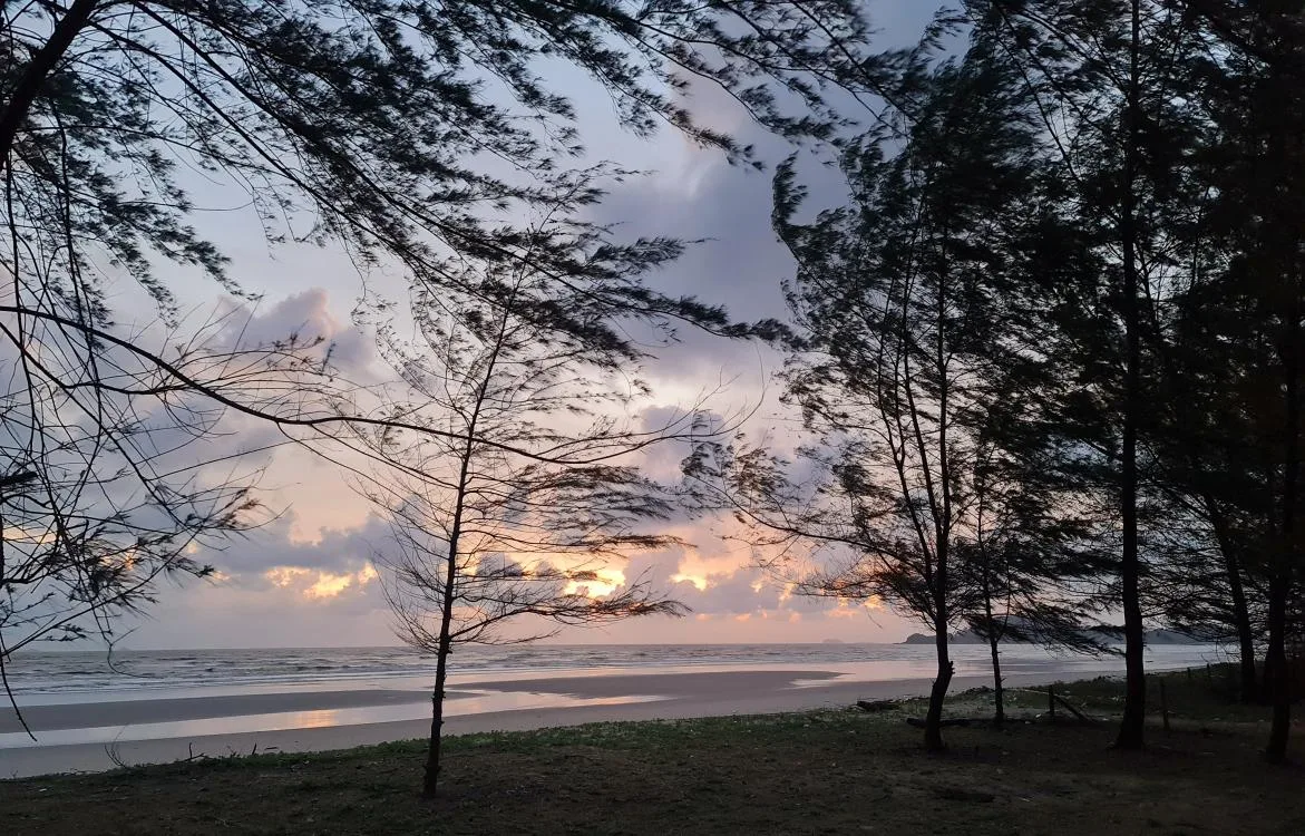 Back To Nature Camp — foto sebenar 6