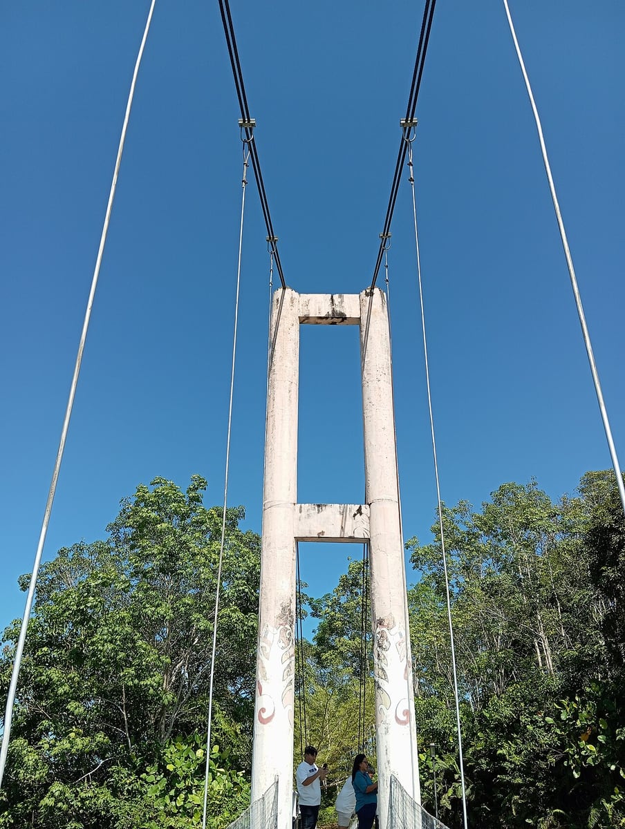 Gambar 2 Batang Ai National Park