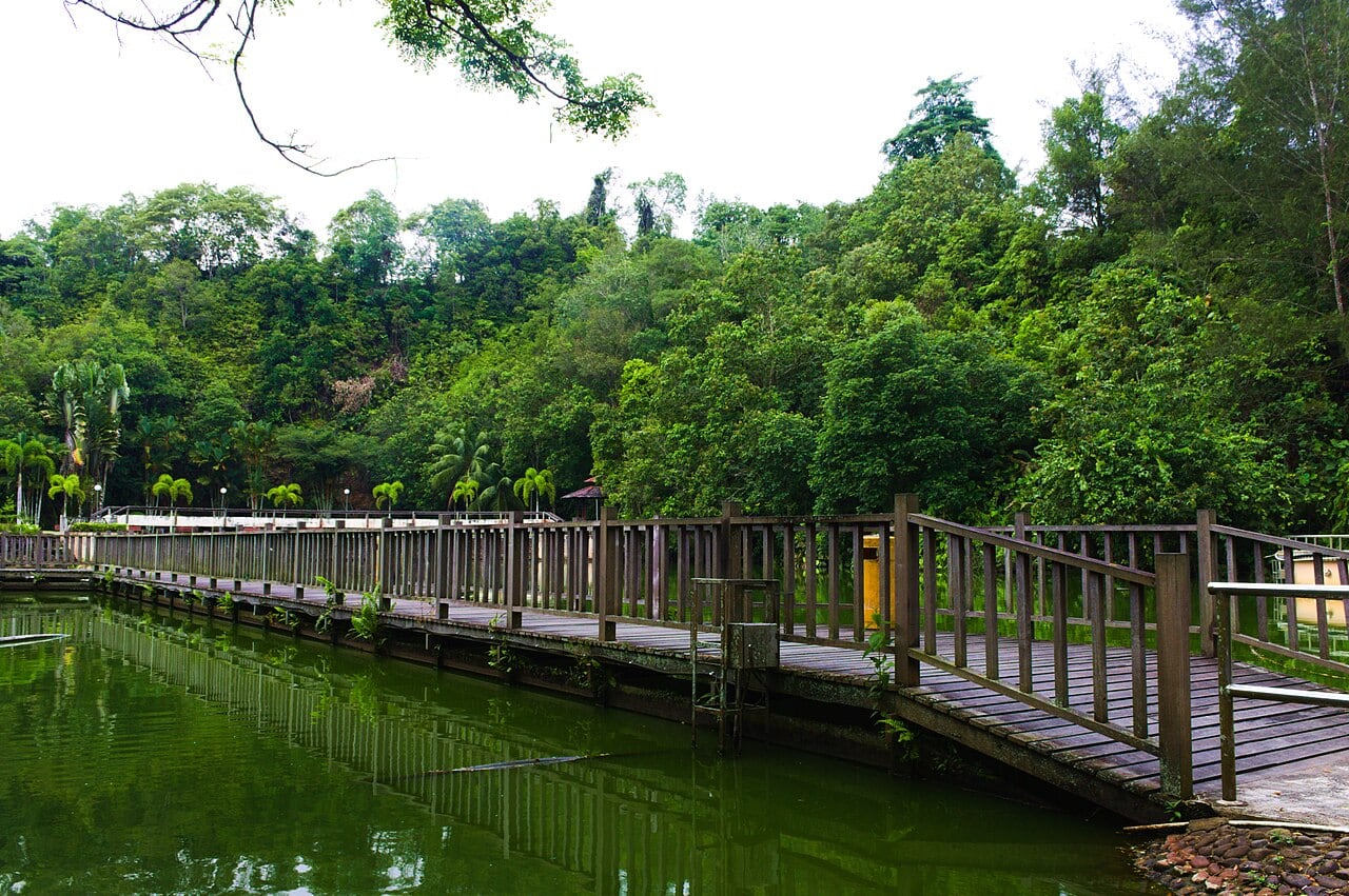 Gambar 2 Bukit Aup Jubilee Park
