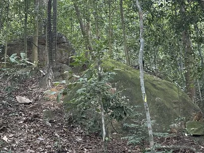 Bukit Inas — foto sebenar berbeza 5