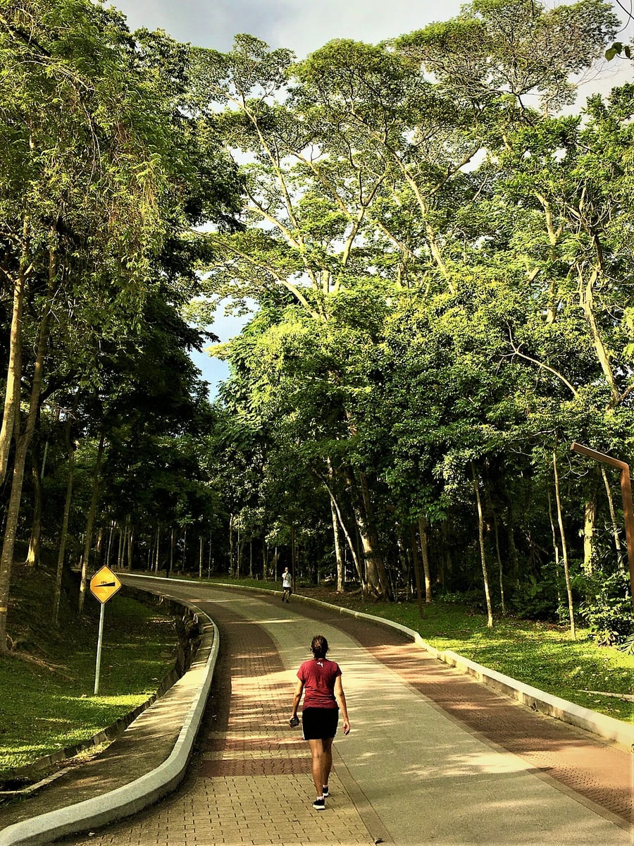 Gambar Taman Rimba Kiara