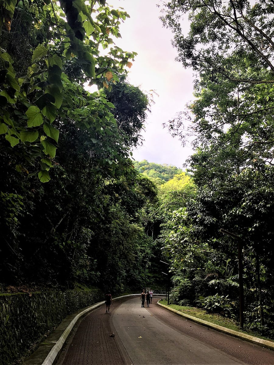 Gambar 2 Taman Rimba Kiara