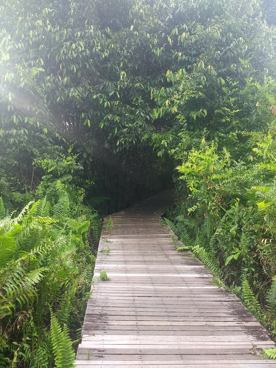 Gambar 2 Bukit Lima Nature Reserve