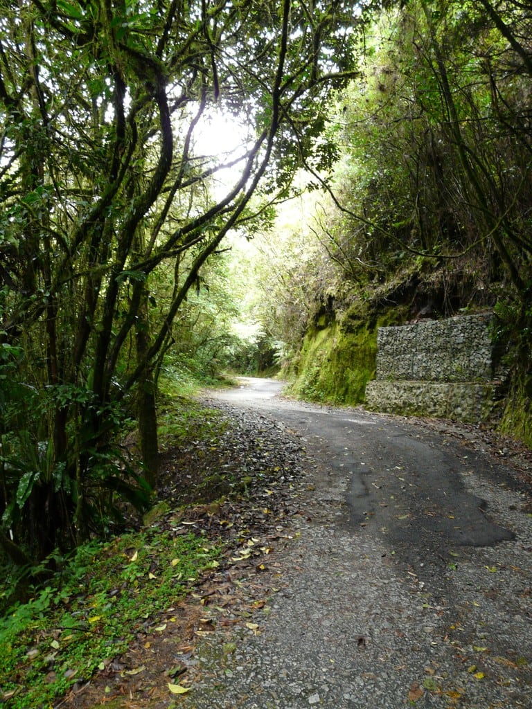 Gambar Cameron Highlands Nature Trails