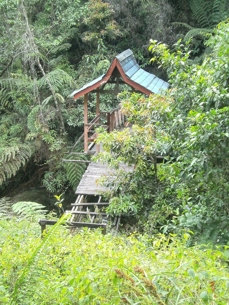 Gambar 2 Cameron Highlands Nature Trails