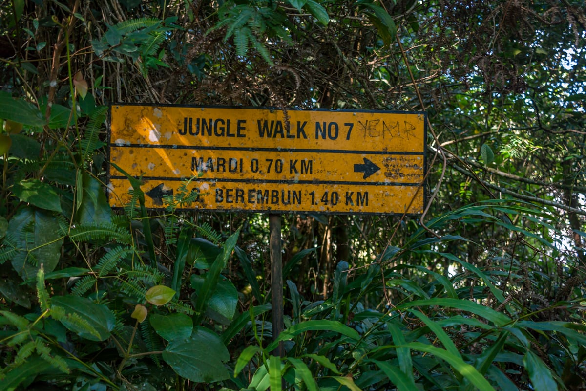 Gambar 3 Cameron Highlands Nature Trails