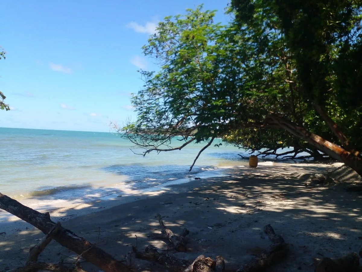 Conway Cove Campsite — foto sebenar 5