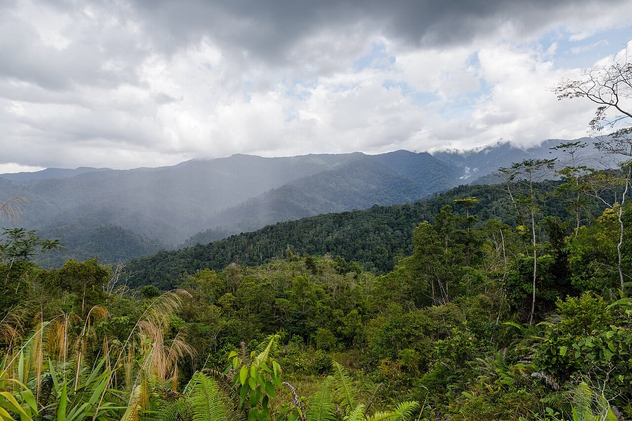 Gambar 3 Crocker Range Park