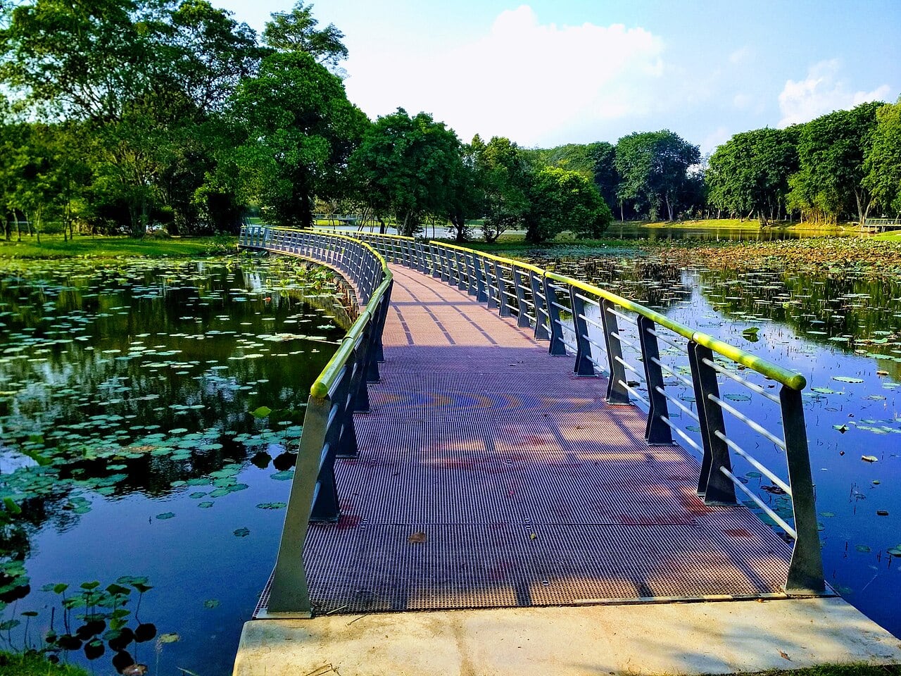 Gambar 3 Cyberjaya Lake Gardens