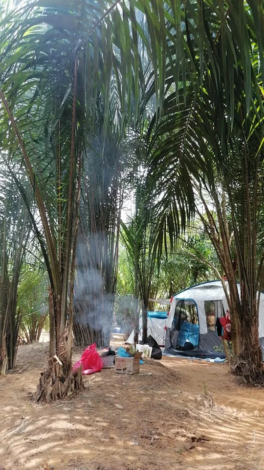 D’onaz Farm Camp — foto sebenar 6
