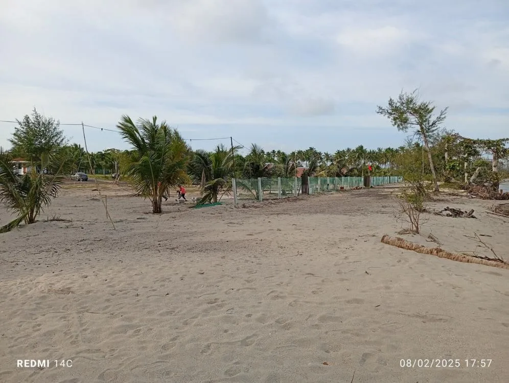 Gambar D'Zaitun Campsite