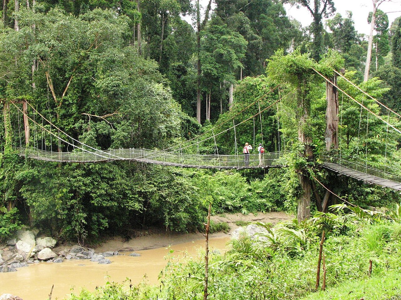 Gambar Danum Valley Field Centre