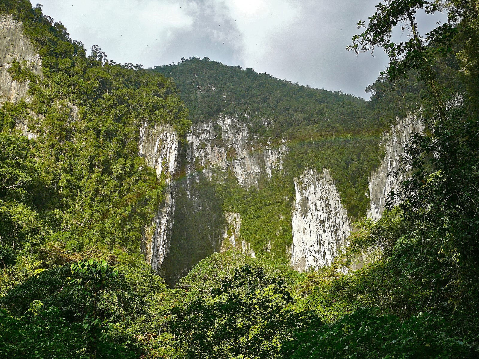 Gambar Deer Cave & Lang's Cave Mulu