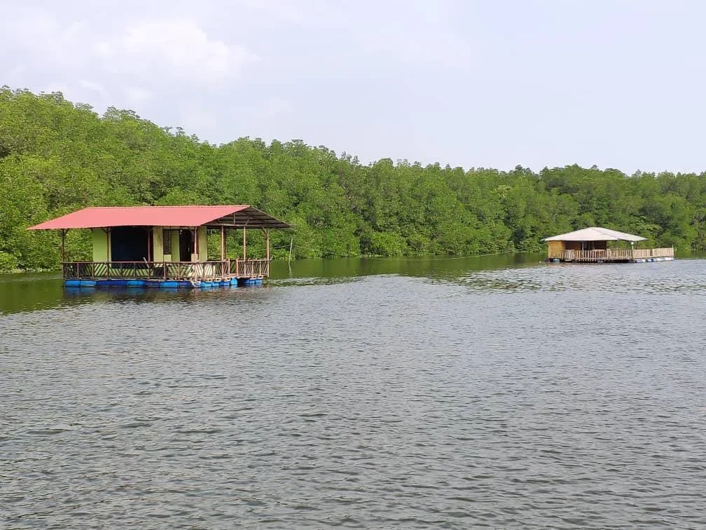 Desaru Lebam River Mangrove Cruise — foto sebenar 3
