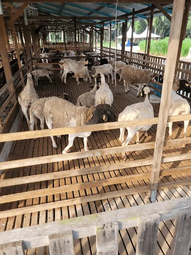 D’Impian Agro Farm — foto sebenar 6