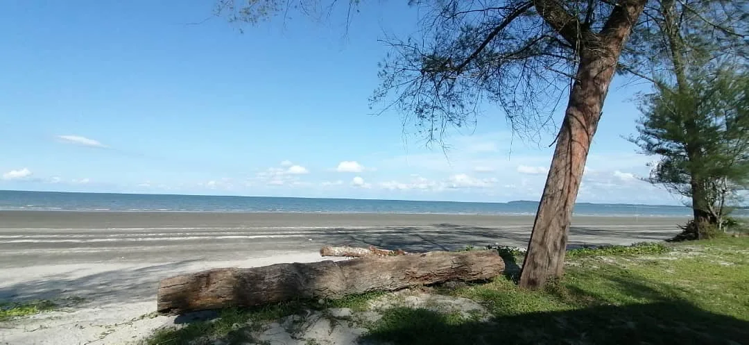 Eco Bay Beach Resort — foto sebenar 2
