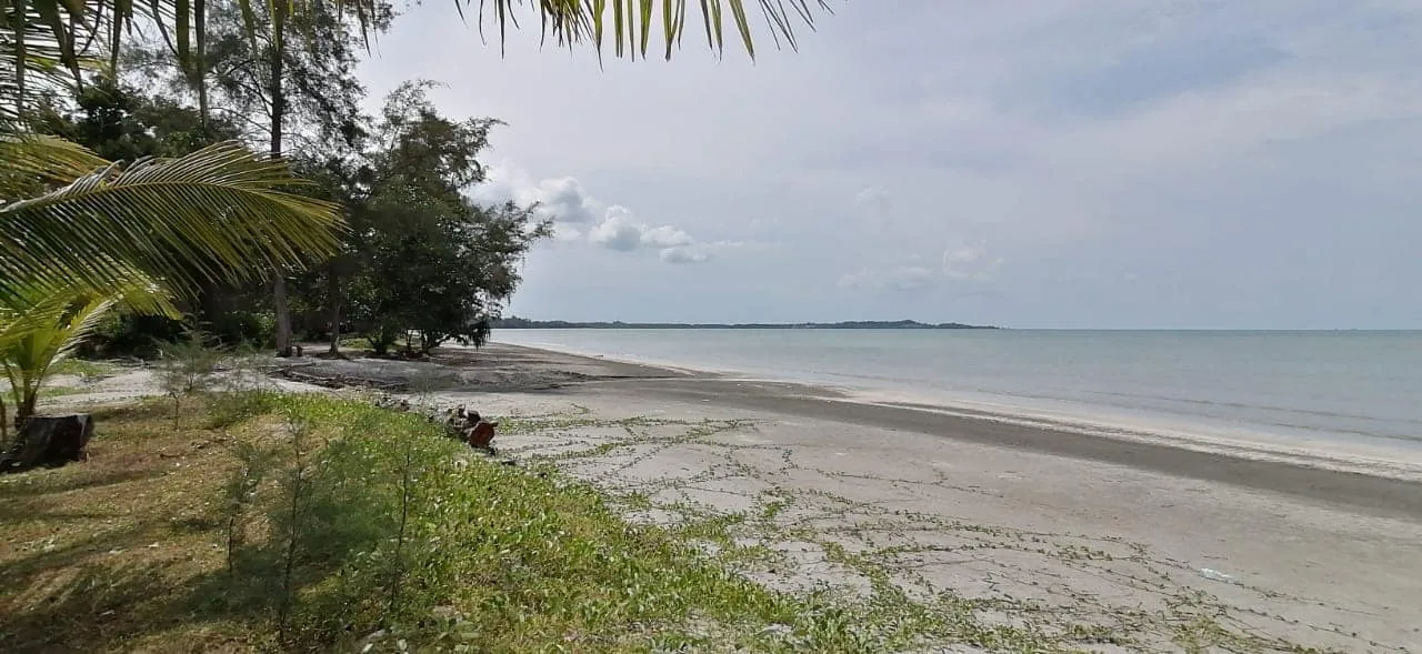 Eco Bay Beach Resort — foto sebenar 5
