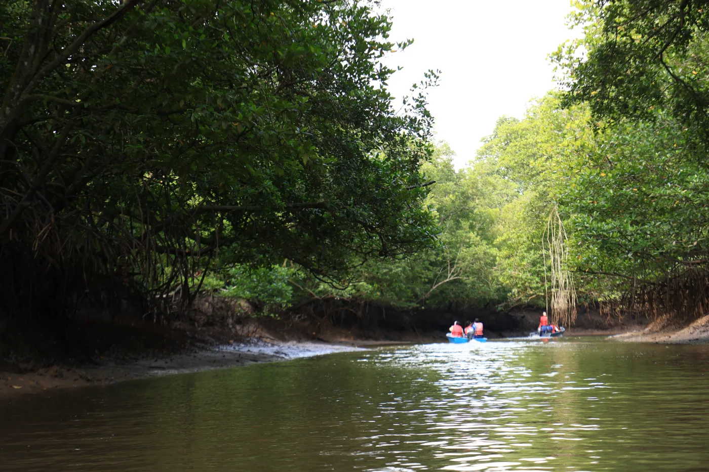 Eco Tourism Kampung Sungai Melayu — foto sebenar 3