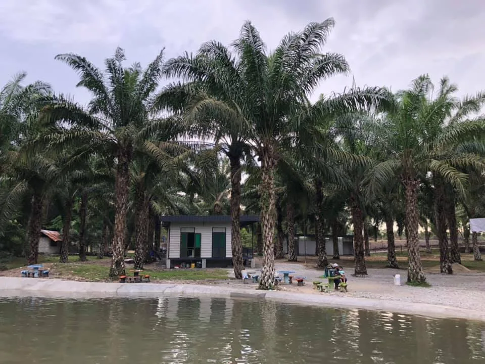 El-Dhuha Campsite — foto sebenar 3