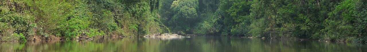 Gambar 2 Endau-Rompin / Rompin State Park Pahang Access