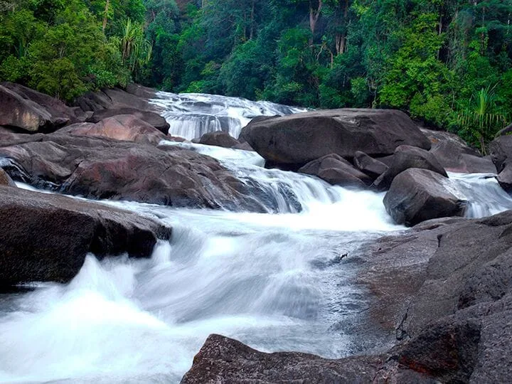 Endau Rompin Peta Johor National Park — foto sebenar 3