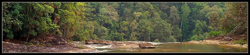 Gambar 3 Endau-Rompin Selai National Park
