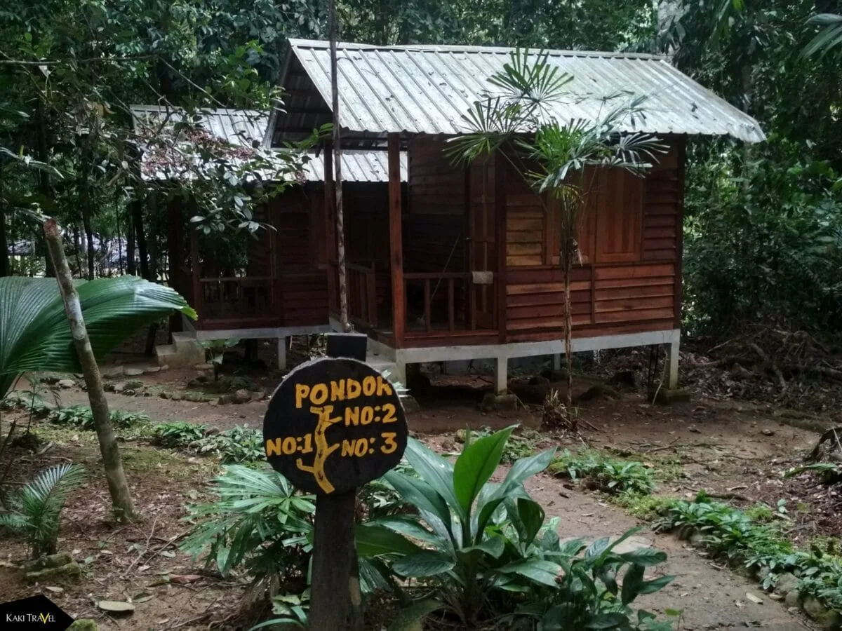Endau Rompin Selai National Park — foto sebenar 1