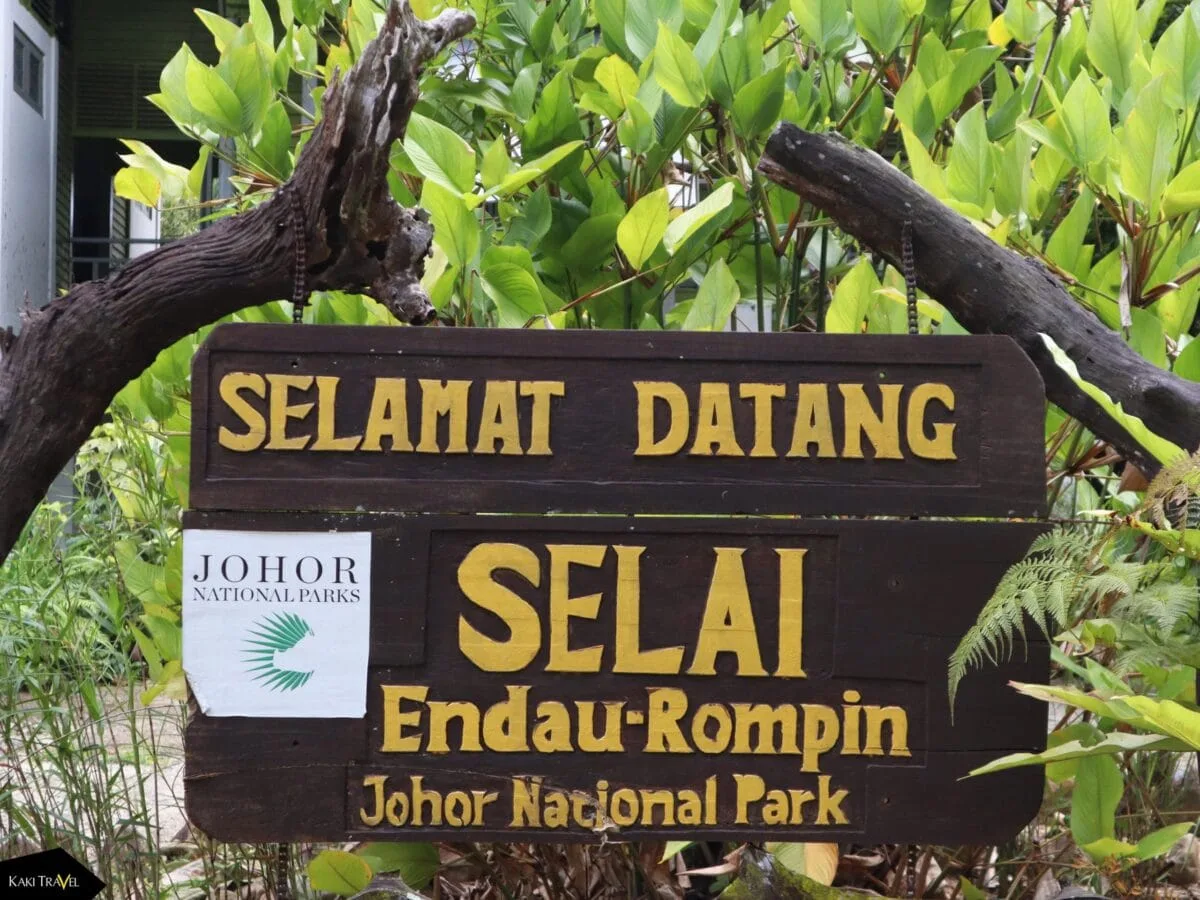 Endau Rompin Selai National Park — foto sebenar 2