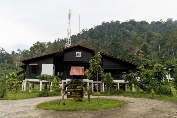 Endau Rompin Selai National Park — foto sebenar 4