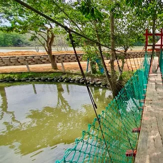 Firefly Valley Leisure Park — foto sebenar 5 (crop)