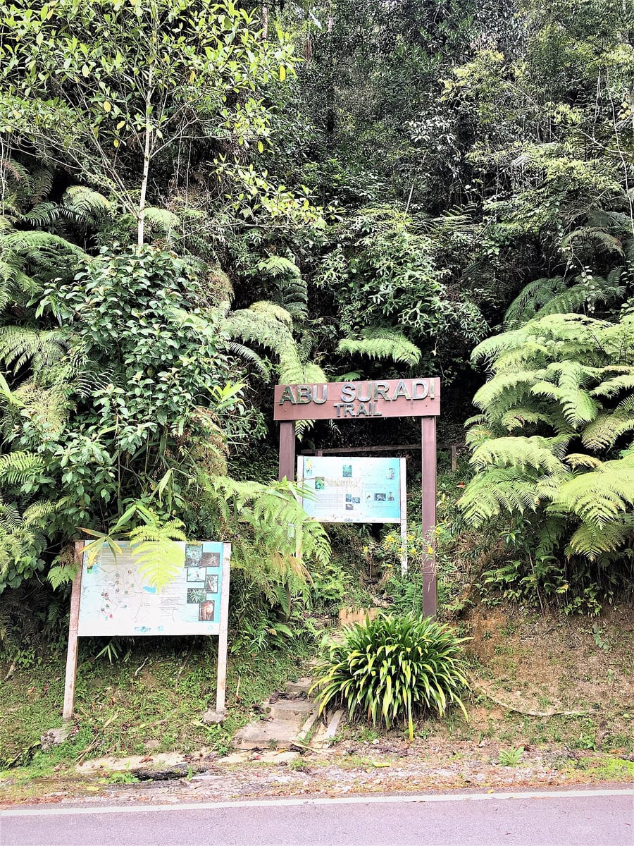 Gambar 2 Fraser's Hill / Bukit Fraser