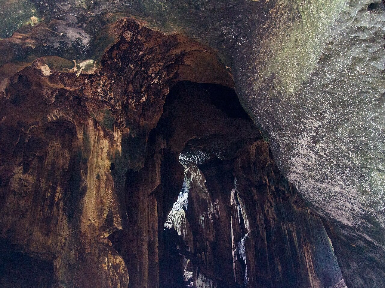 Gambar 2 Gomantong Cave