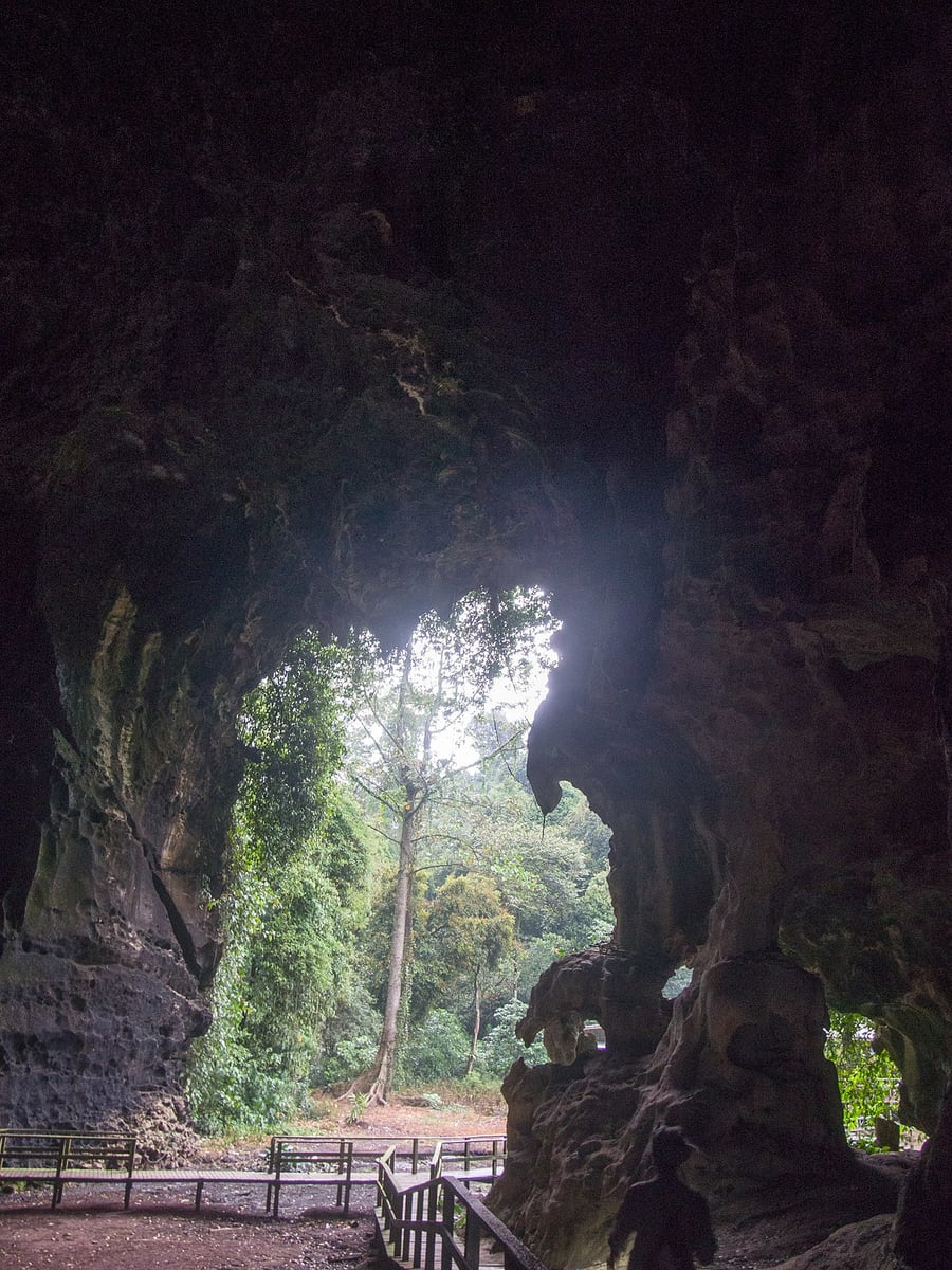 Gambar 3 Gomantong Cave