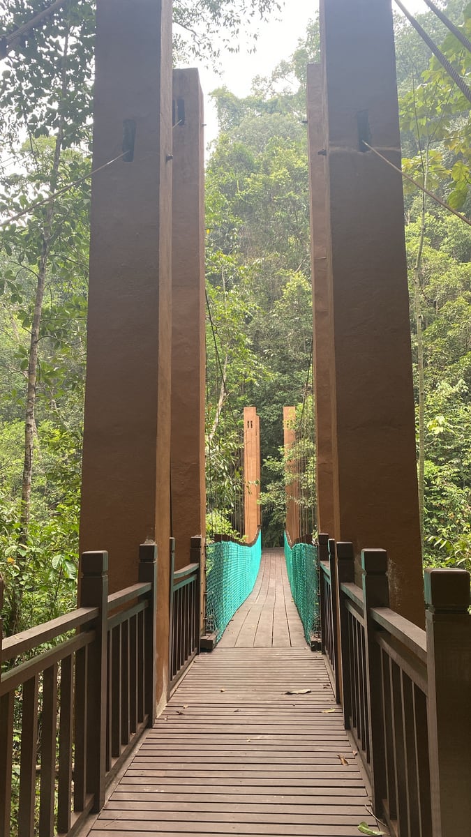 Gambar Gunung Berembun via Chemerong