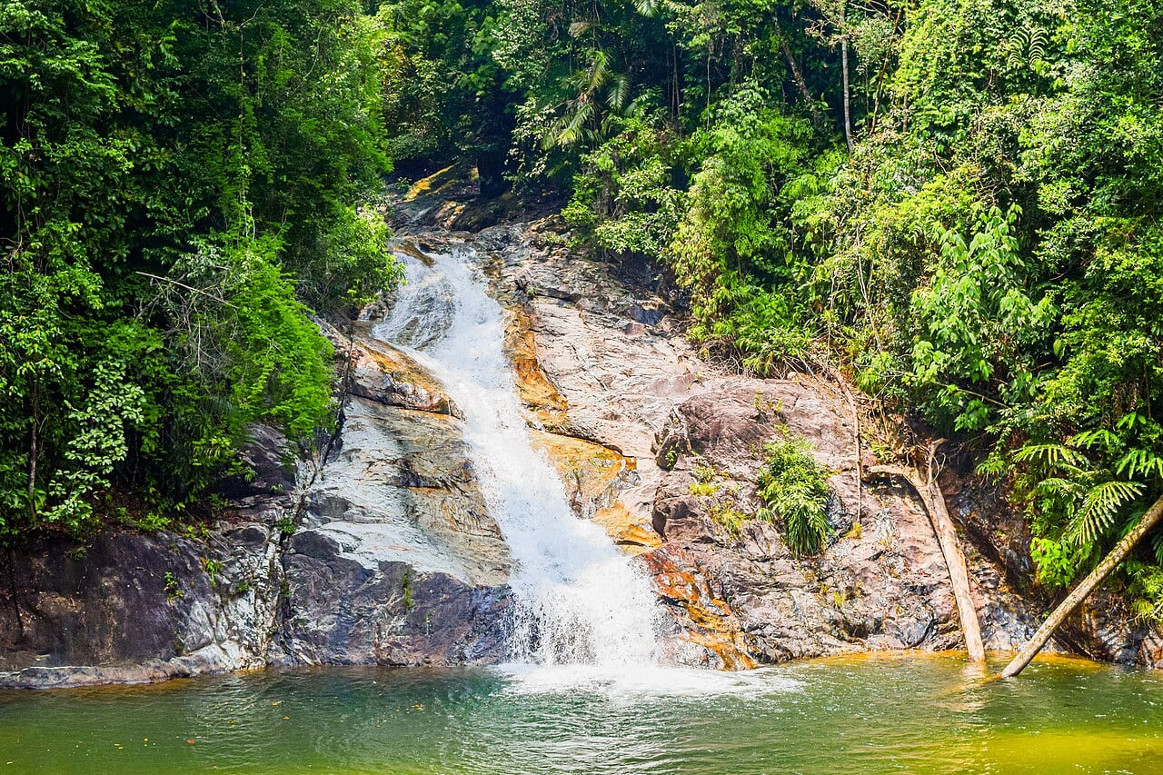 Gambar 2 Gunung Berembun via Chemerong