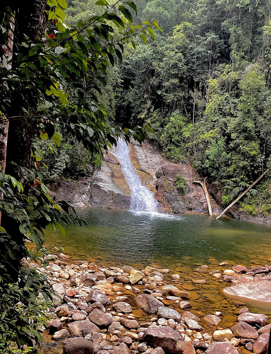 Gambar 3 Gunung Berembun via Chemerong