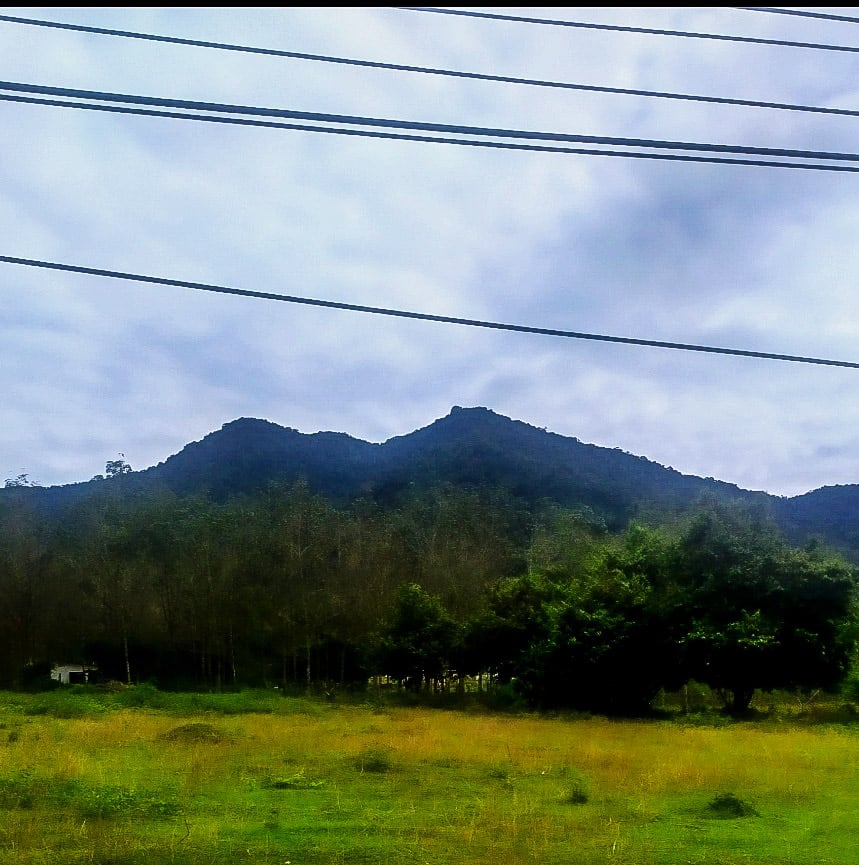 Gambar Gunung Datuk Recreational Forest