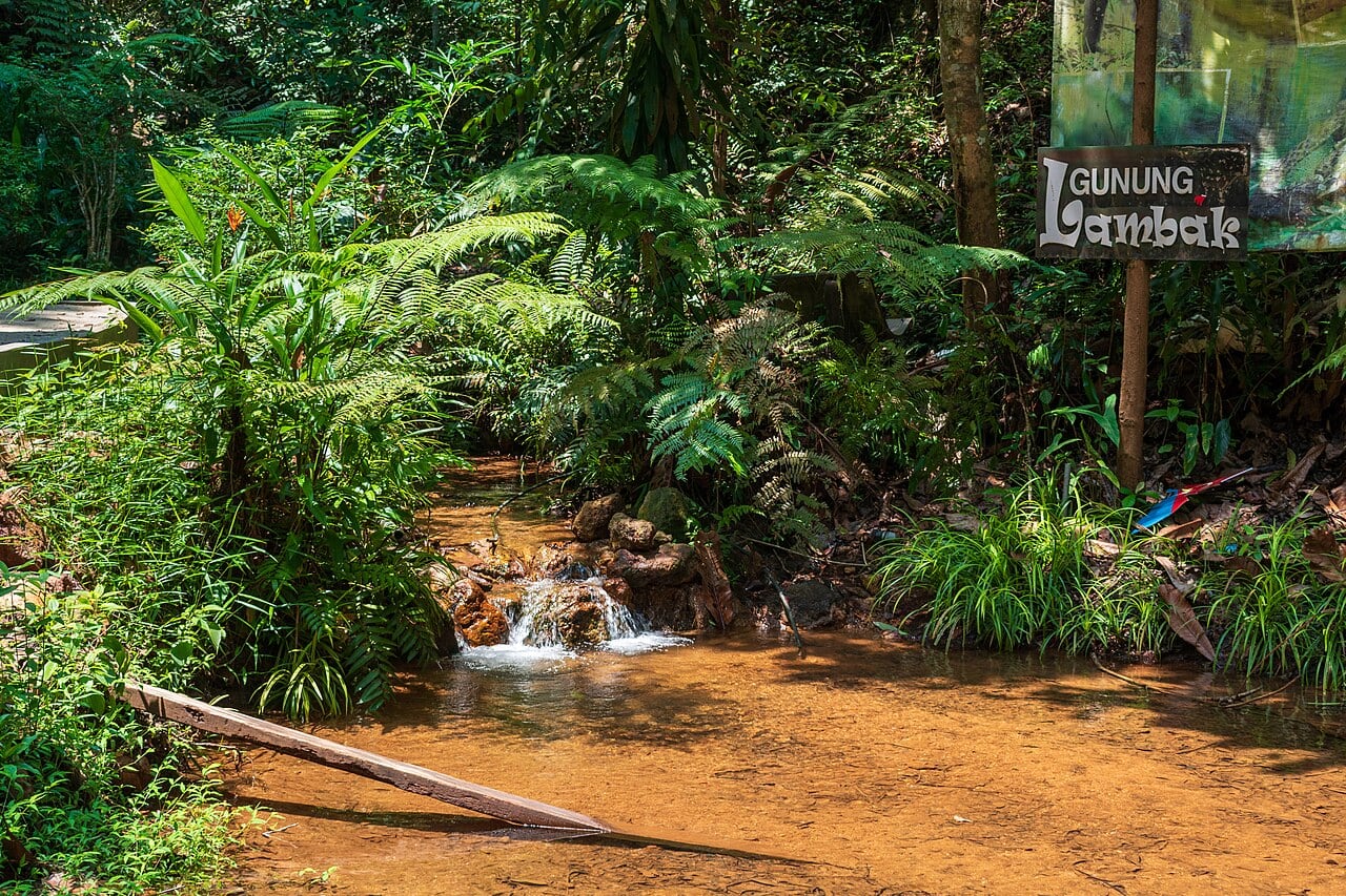 Gambar Gunung Lambak
