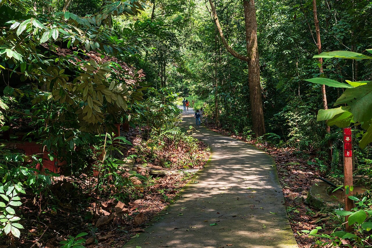 Gambar 3 Gunung Lambak