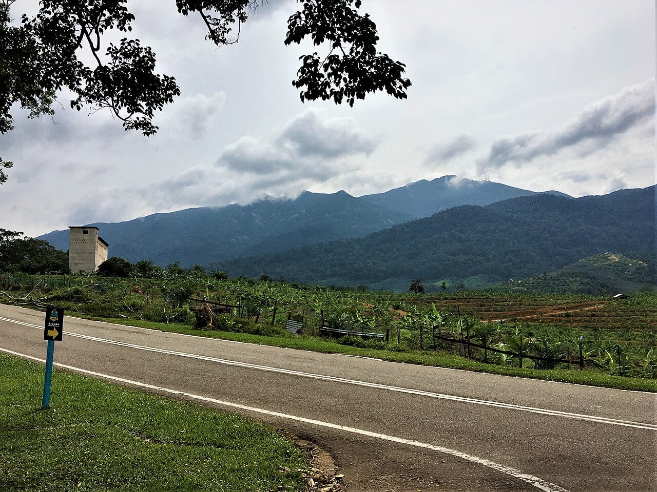 Gambar 3 Gunung Ledang National Park