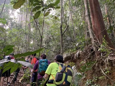 Gunung Muntahak — foto sebenar berbeza 2