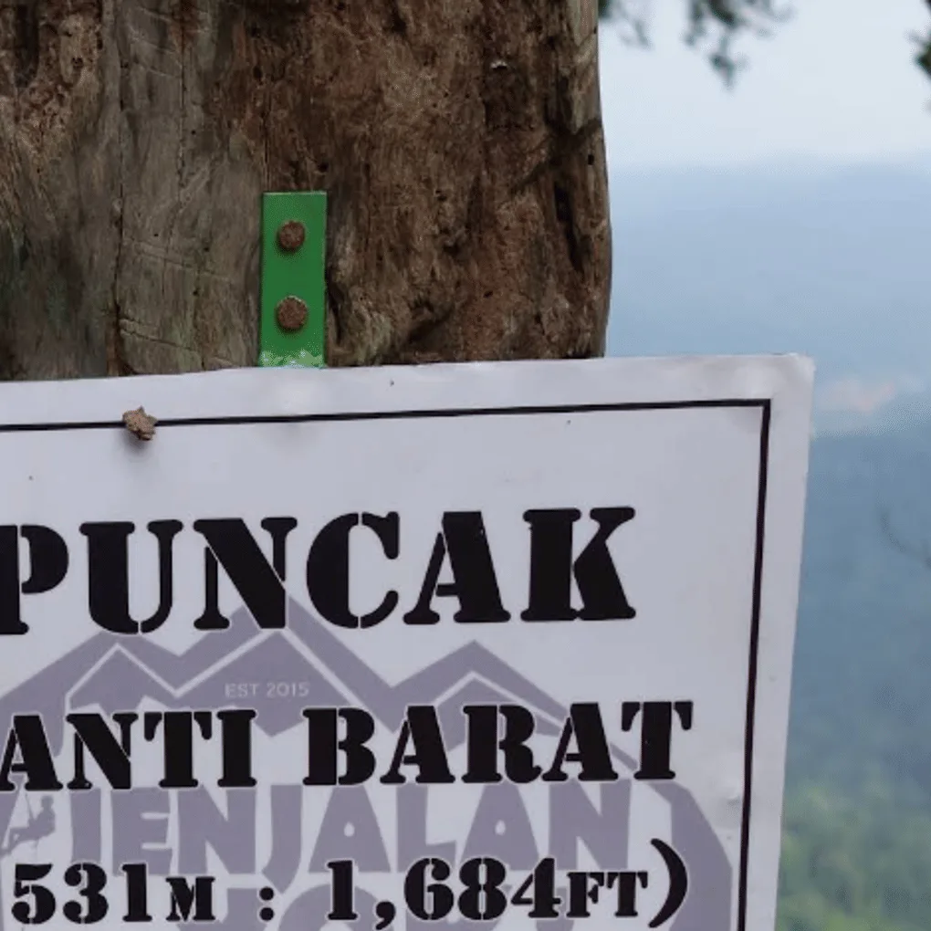 Gambar Gunung Panti Barat